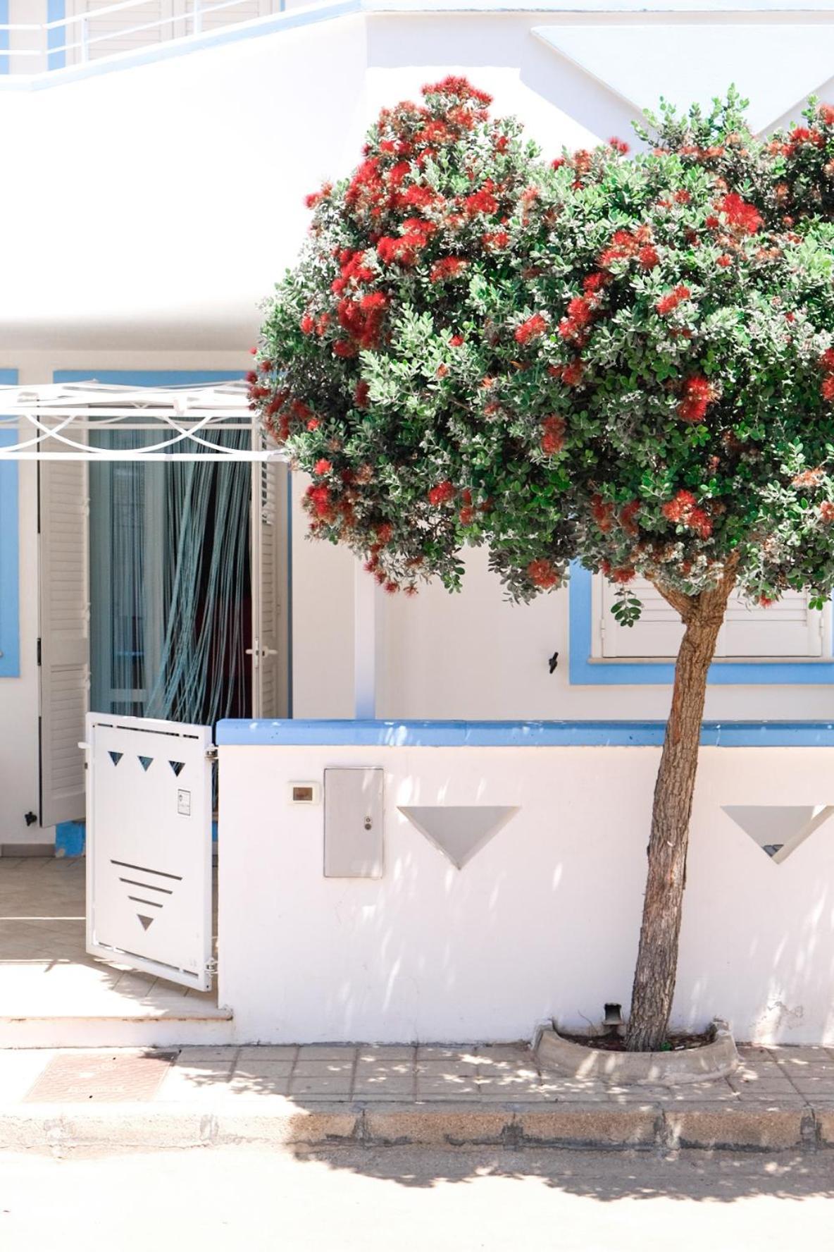 Maldive Del Salento- Your Sunny Oasis In * Torre Pali
