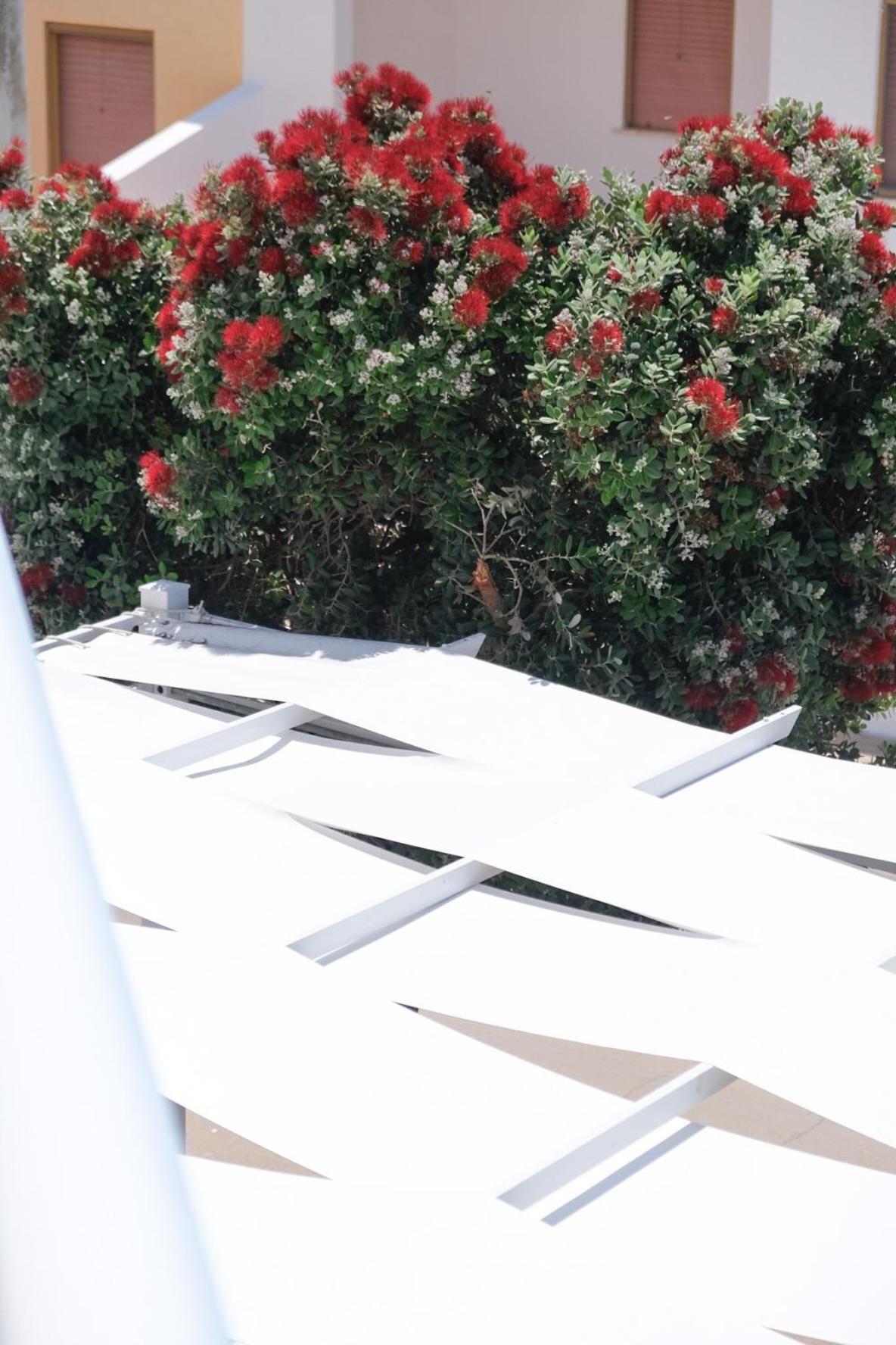 Maldive Del Salento- Your Sunny Oasis In Ferienhaus *