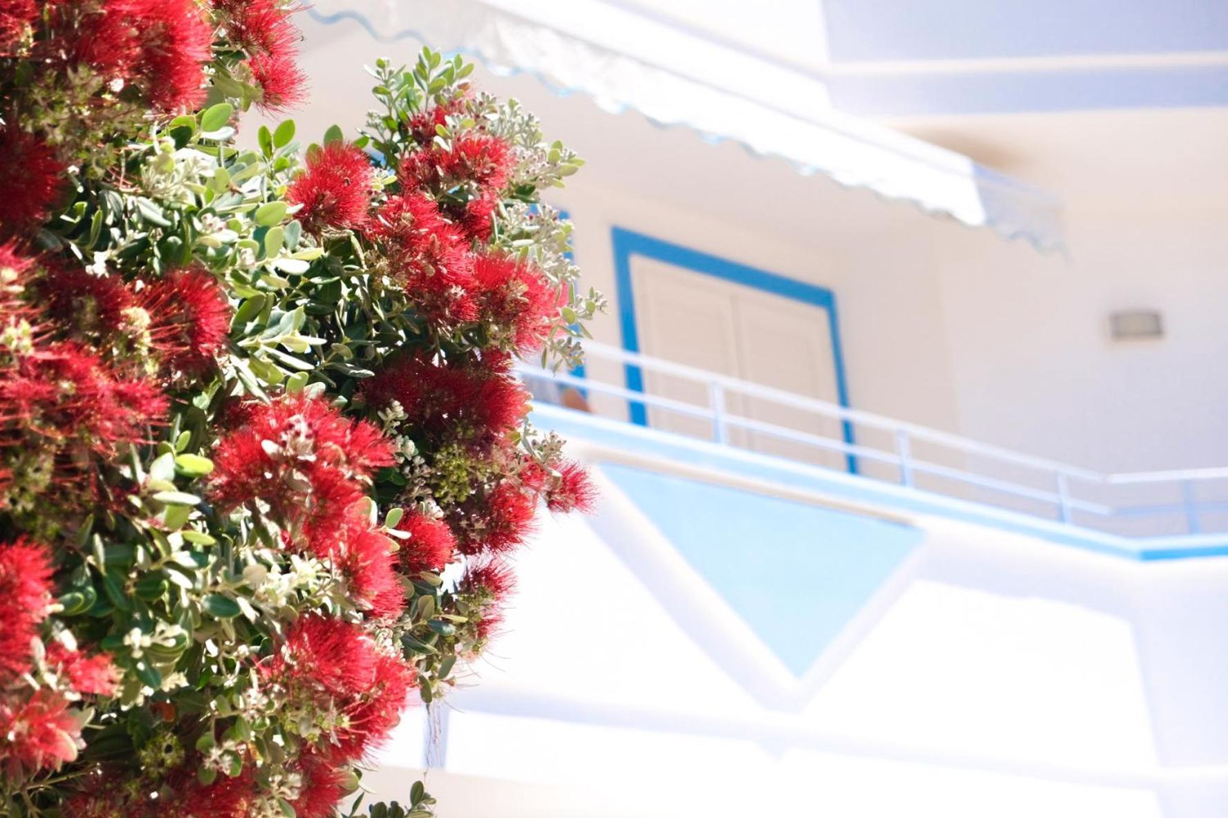 Maldive Del Salento- Your Sunny Oasis In Holiday home *
